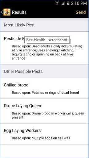 Bee_Health
