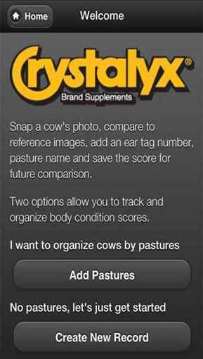 Beef_Cow_BCS_App