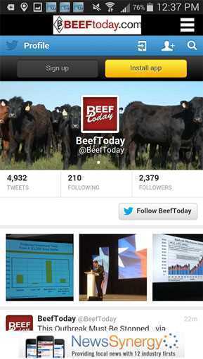 Beef_News_and_Markets