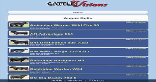 Cattle_Visions