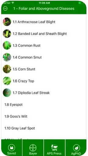 Corn_Field_Guide