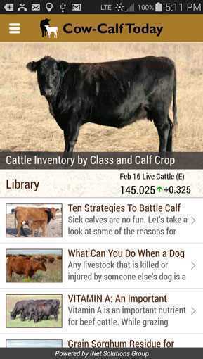 Cow-Calf_Today