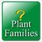 Key:_Plant_Families