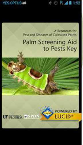 Palm_Screening_Aid_Key