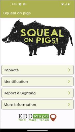 Squeal_on_Pigs